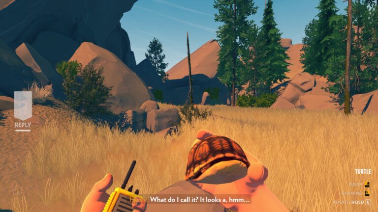 firewatch background talk