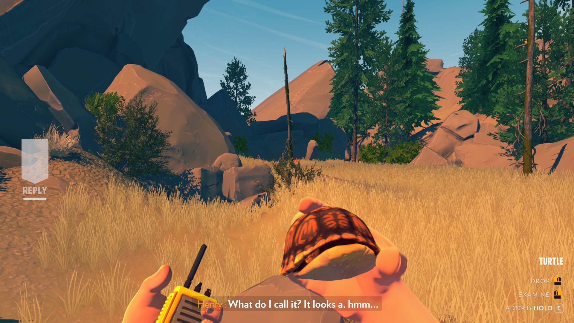 Firewatch screenshot: turtle