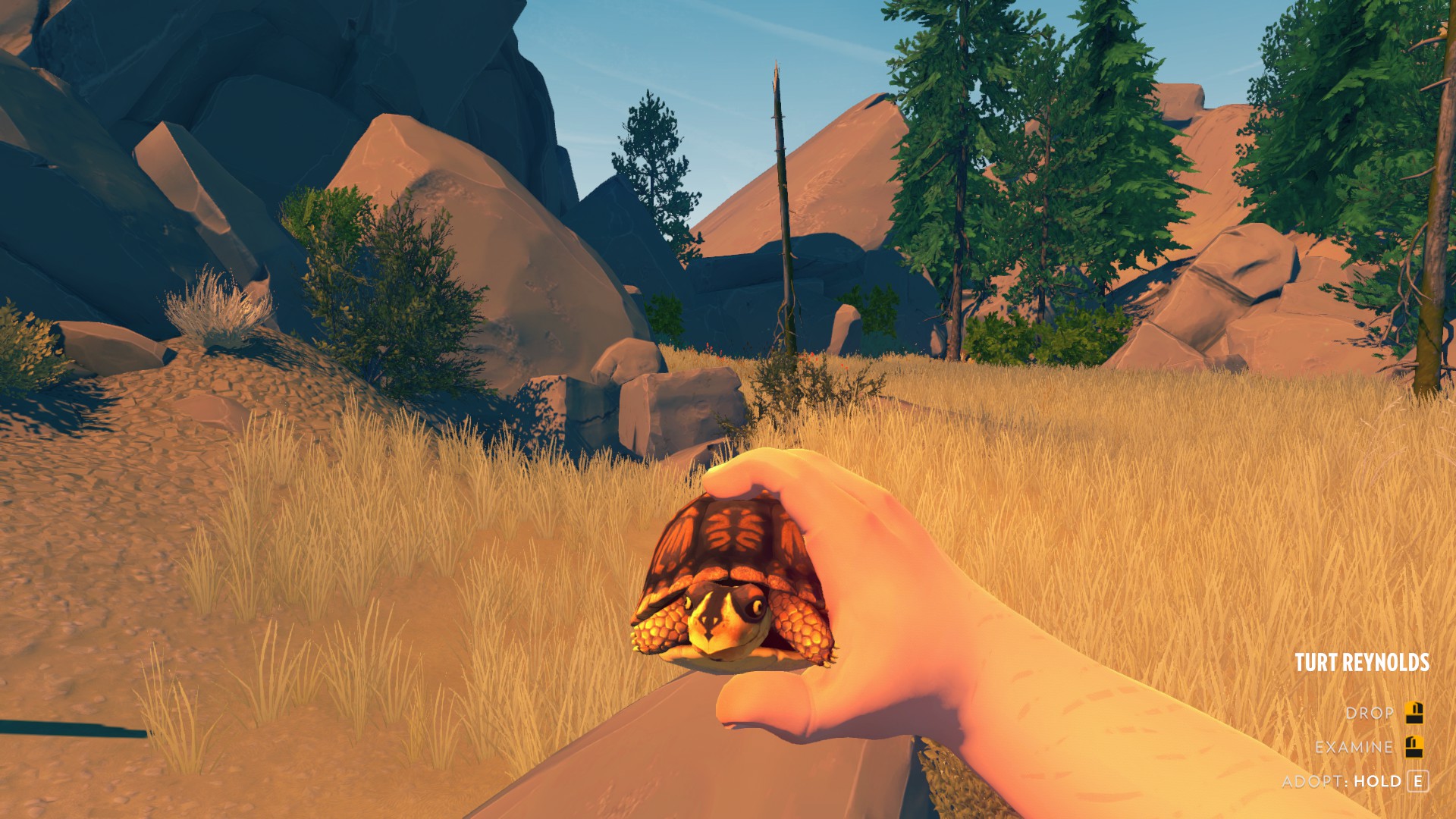 Firewatch screenshot: turtle