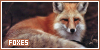 foxes fanlisting code